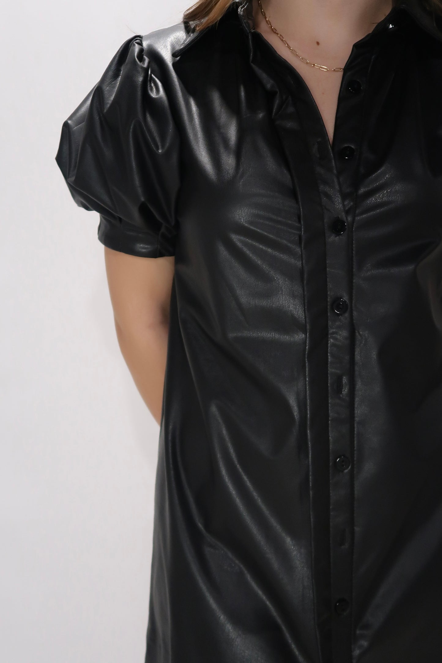 Iris Faux Leather Dress